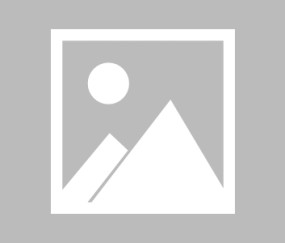 Kaiyun-意甲赛程吃紧，金州勇士赛后遗憾出局，管理层满意，赛季目标并未改变(金州勇士最新签约消息)