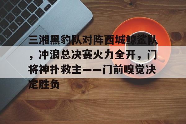  三湘黑豹队对阵西城鲸鲨队，冲浪总决赛火力全开，门将神扑救主——门前嗅觉决定胜负